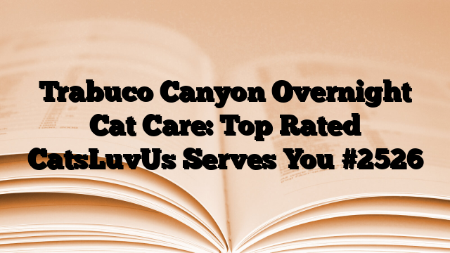 Trabuco Canyon Overnight Cat Care: Top Rated CatsLuvUs Serves You