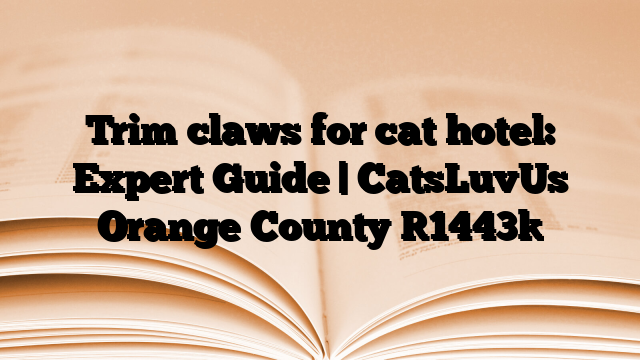 Trim claws for cat hotel: Expert Guide | CatsLuvUs Orange County
