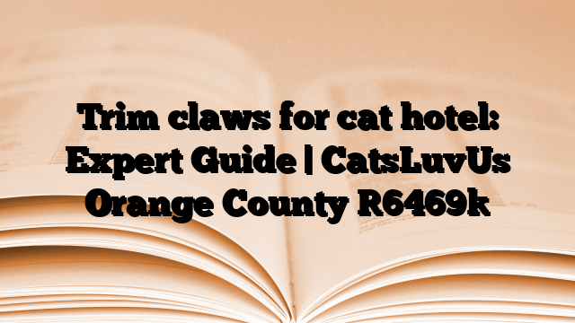 Trim claws for cat hotel: Expert Guide | CatsLuvUs Orange County