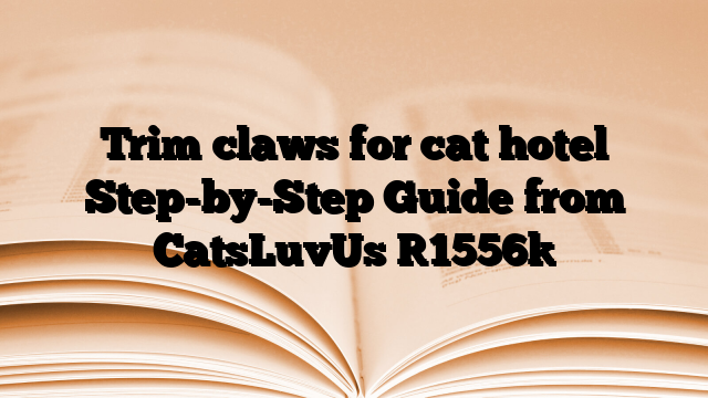 Trim claws for cat hotel Step-by-Step Guide from CatsLuvUs