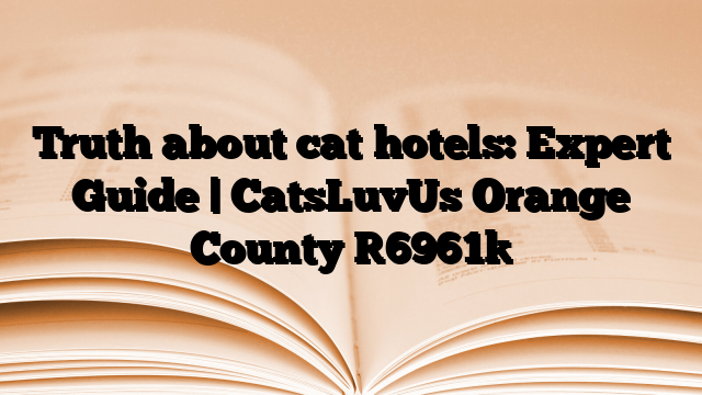 Truth about cat hotels: Expert Guide | CatsLuvUs Orange County