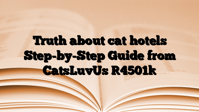 Truth about cat hotels Step-by-Step Guide from CatsLuvUs
