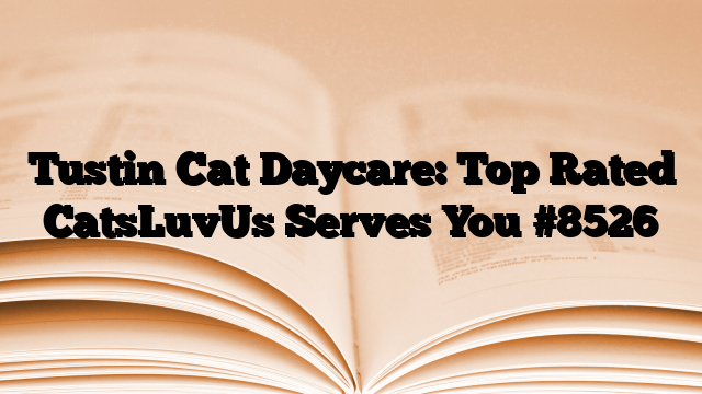 Tustin Cat Daycare: Top Rated CatsLuvUs Serves You