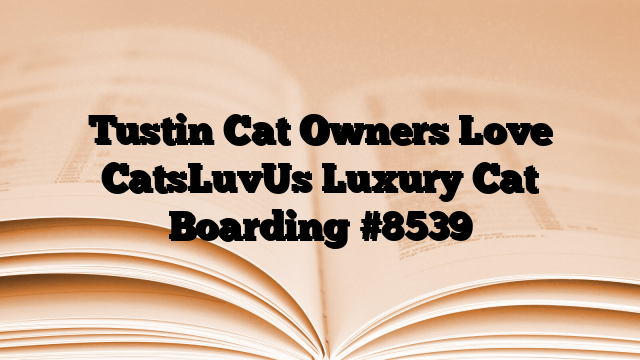 Tustin Cat Owners Love CatsLuvUs Luxury Cat Boarding