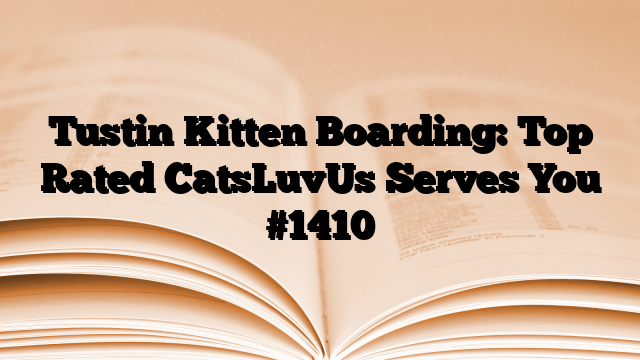 Tustin Kitten Boarding: Top Rated CatsLuvUs Serves You