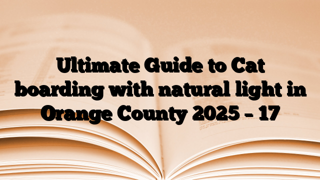 Ultimate Guide to Cat boarding with natural light in Orange County 2025 – 17