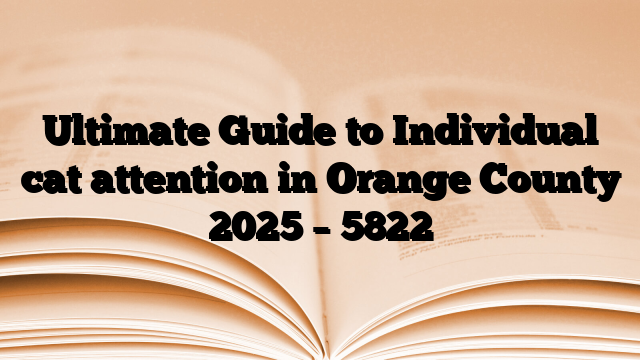 Ultimate Guide to Individual cat attention in Orange County 2025