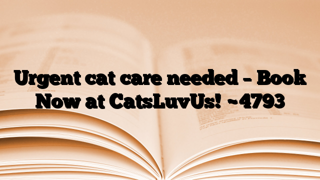Urgent cat care needed – Book Now at CatsLuvUs!