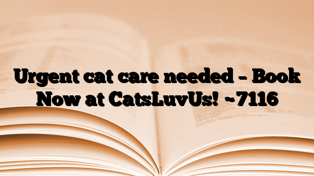 Urgent cat care needed – Book Now at CatsLuvUs!