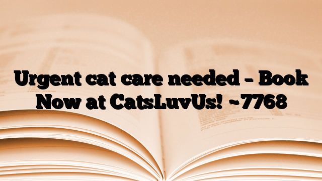 Urgent cat care needed – Book Now at CatsLuvUs!
