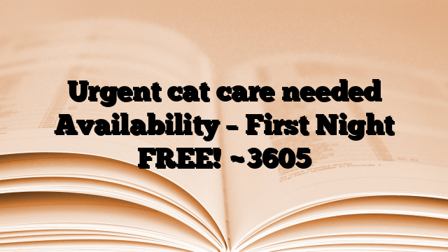 Urgent cat care needed Availability – First Night FREE!