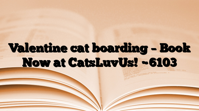 Valentine cat boarding – Book Now at CatsLuvUs!