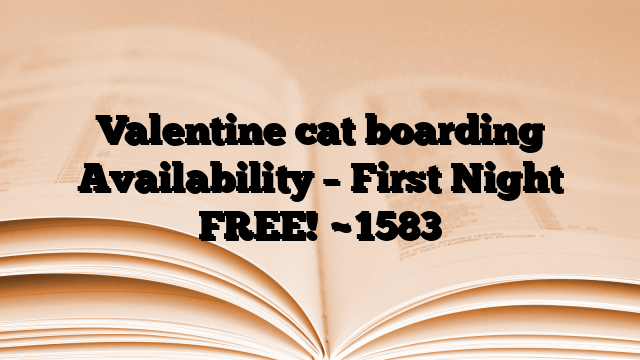 Valentine cat boarding Availability – First Night FREE!