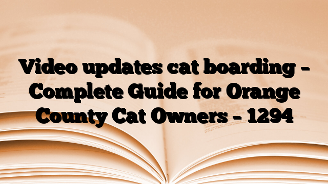 Video updates cat boarding – Complete Guide for Orange County Cat Owners