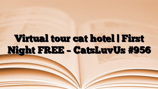 Virtual tour cat hotel | First Night FREE – CatsLuvUs