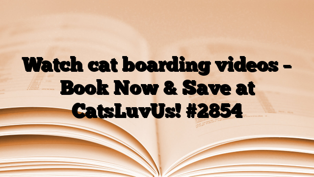 Watch cat boarding videos – Book Now & Save at CatsLuvUs!