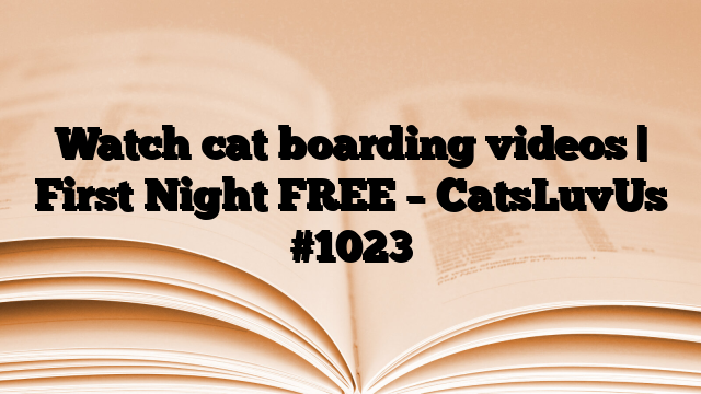 Watch cat boarding videos | First Night FREE – CatsLuvUs