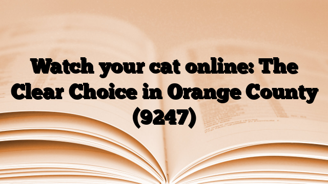 Watch your cat online: The Clear Choice in Orange County