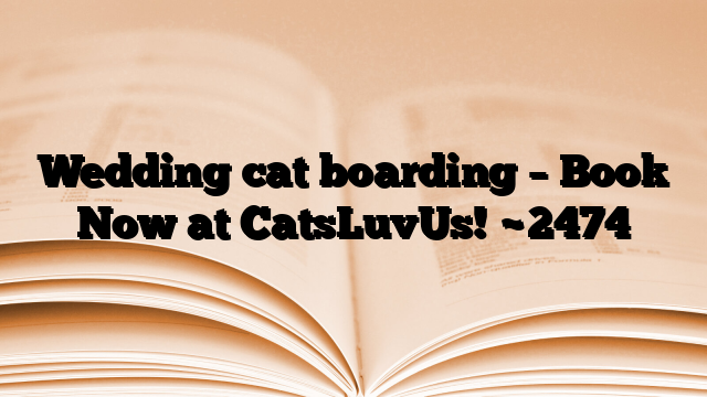 Wedding cat boarding – Book Now at CatsLuvUs!
