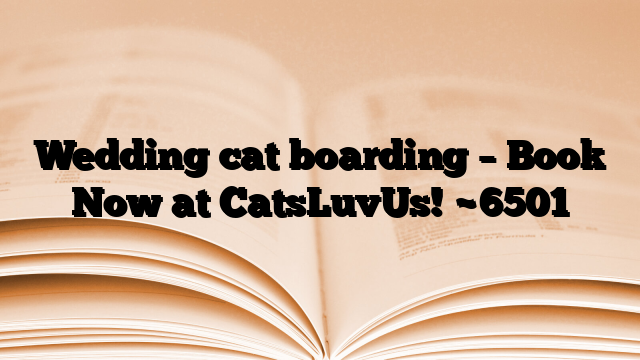 Wedding cat boarding – Book Now at CatsLuvUs!