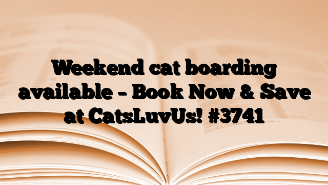 Weekend cat boarding available – Book Now & Save at CatsLuvUs!