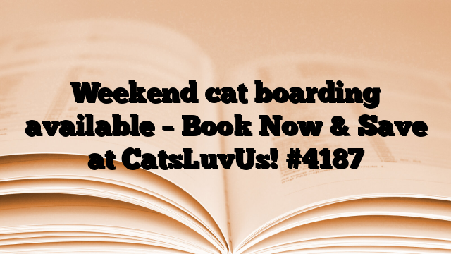 Weekend cat boarding available – Book Now & Save at CatsLuvUs!