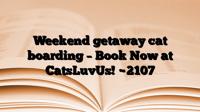 Weekend getaway cat boarding – Book Now at CatsLuvUs!
