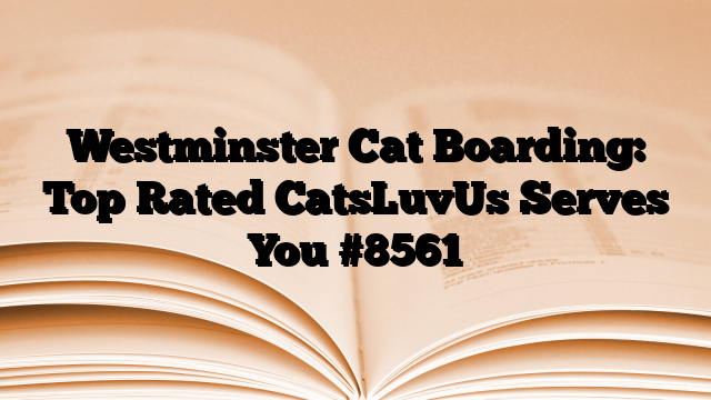 Westminster Cat Boarding: Top Rated CatsLuvUs Serves You