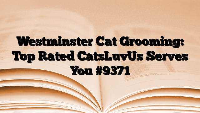 Westminster Cat Grooming: Top Rated CatsLuvUs Serves You