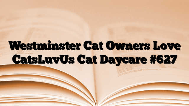 Westminster Cat Owners Love CatsLuvUs Cat Daycare