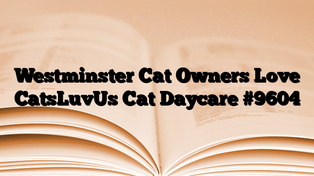 Westminster Cat Owners Love CatsLuvUs Cat Daycare