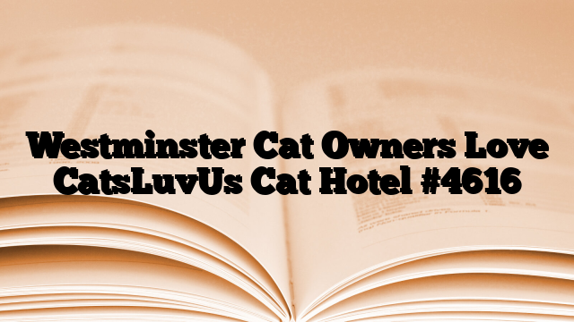 Westminster Cat Owners Love CatsLuvUs Cat Hotel