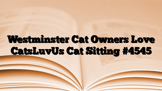Westminster Cat Owners Love CatsLuvUs Cat Sitting