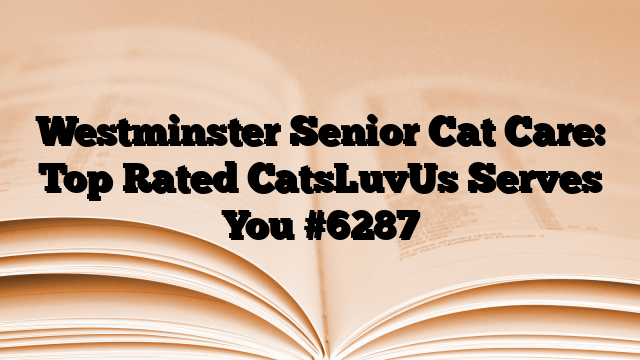 Westminster Senior Cat Care: Top Rated CatsLuvUs Serves You
