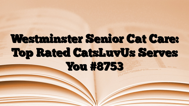 Westminster Senior Cat Care: Top Rated CatsLuvUs Serves You