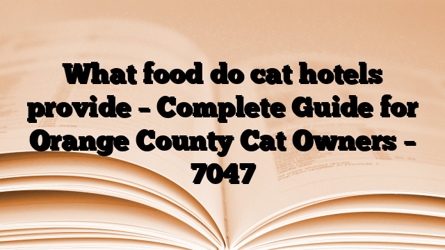 What food do cat hotels provide – Complete Guide for Orange County Cat Owners