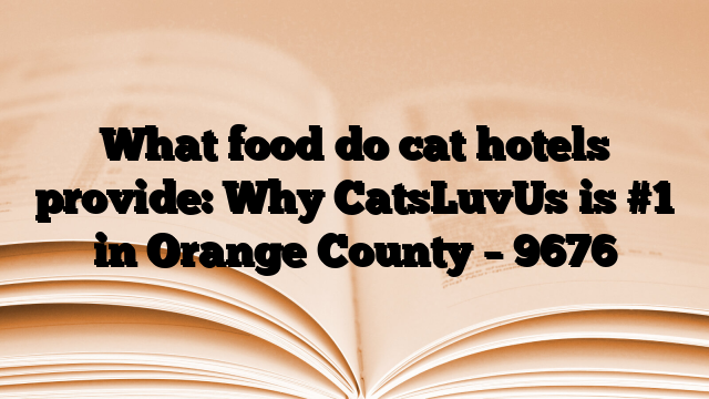 What food do cat hotels provide: Why CatsLuvUs is #1 in Orange County