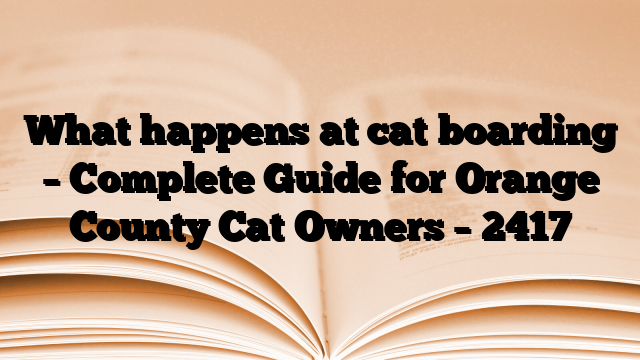 What happens at cat boarding – Complete Guide for Orange County Cat Owners