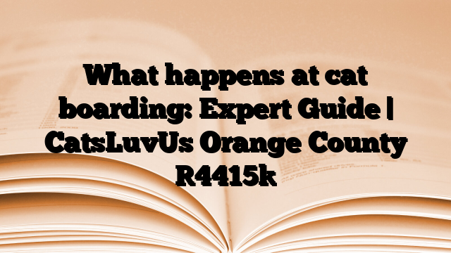 What happens at cat boarding: Expert Guide | CatsLuvUs Orange County