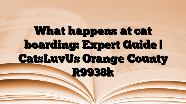 What happens at cat boarding: Expert Guide | CatsLuvUs Orange County