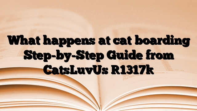 What happens at cat boarding Step-by-Step Guide from CatsLuvUs