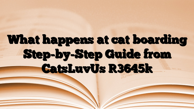 What happens at cat boarding Step-by-Step Guide from CatsLuvUs