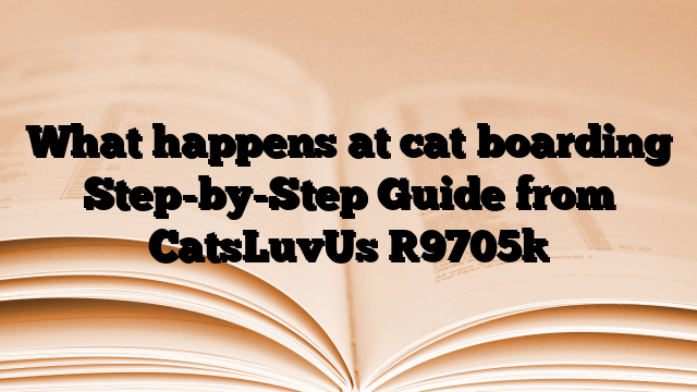 What happens at cat boarding Step-by-Step Guide from CatsLuvUs