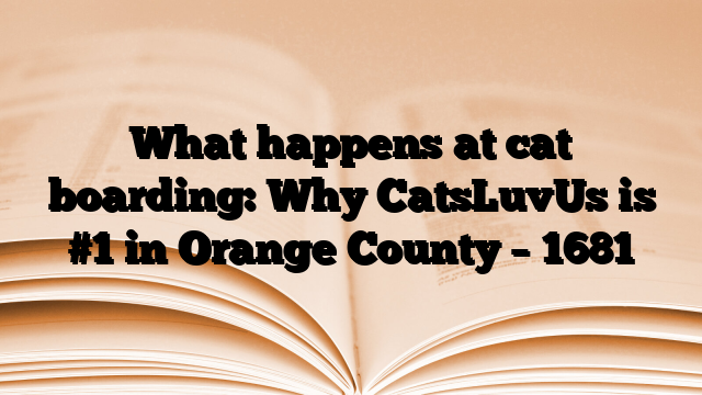 What happens at cat boarding: Why CatsLuvUs is #1 in Orange County