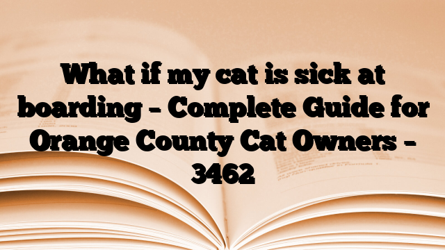 What if my cat is sick at boarding – Complete Guide for Orange County Cat Owners