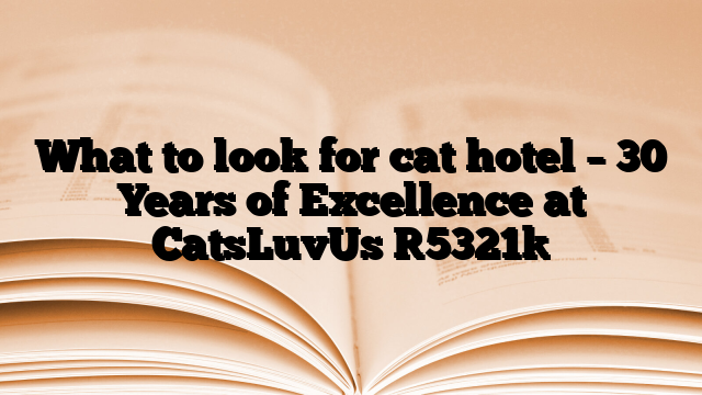 What to look for cat hotel – 30 Years of Excellence at CatsLuvUs