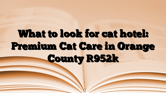 What to look for cat hotel: Premium Cat Care in Orange County