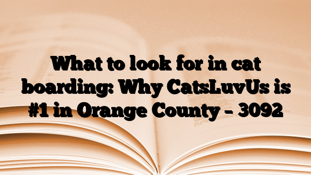What to look for in cat boarding: Why CatsLuvUs is #1 in Orange County
