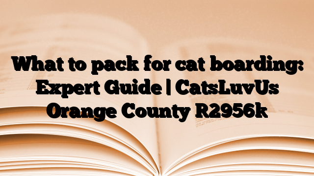 What to pack for cat boarding: Expert Guide | CatsLuvUs Orange County
