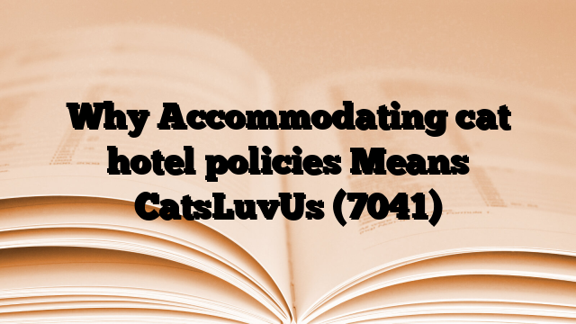 Why Accommodating cat hotel policies Means CatsLuvUs
